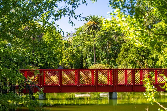 Détendez-vous au jardin des plantes